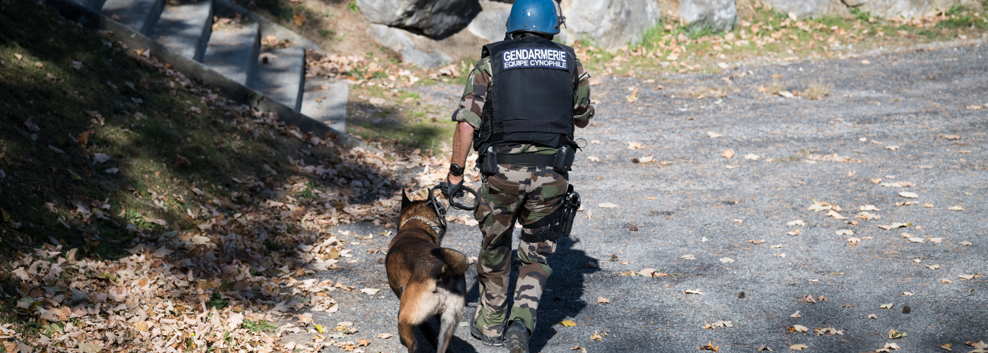 Devenir maître chien : formation, qualités, salaire...